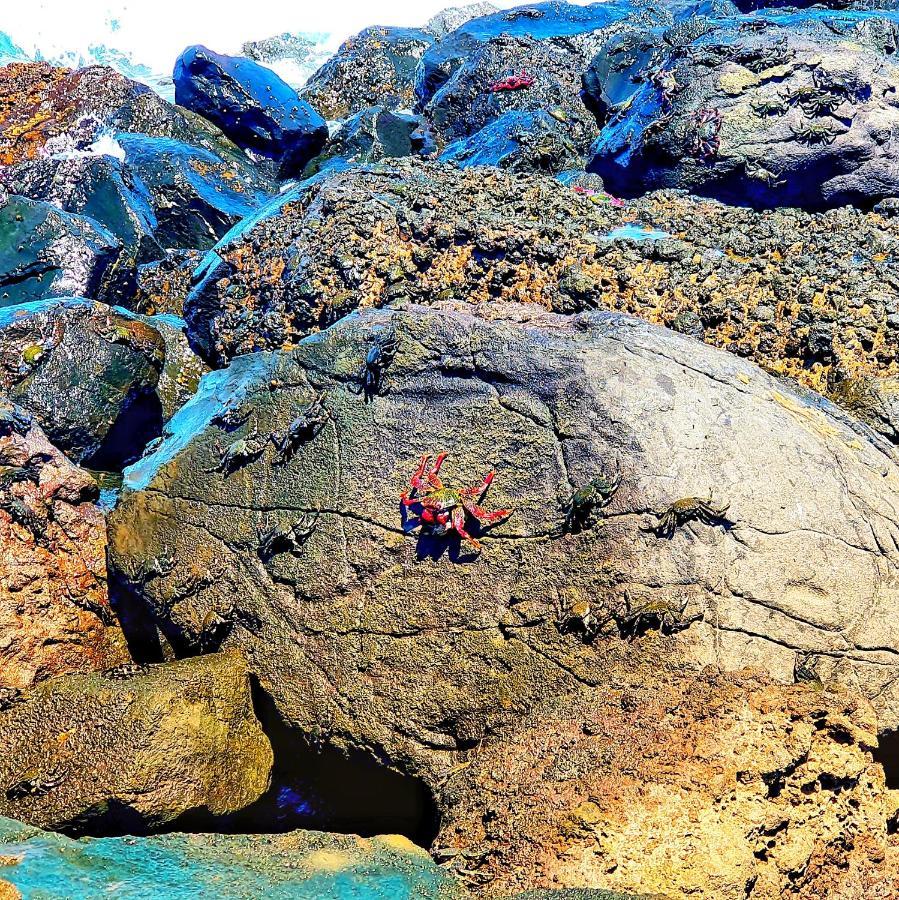 "The Red Crab Studio" By Bbhome At Gran Canaria Airport - Wifi 300 Mbps El Burrero エクステリア 写真